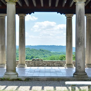 Image 2 - Column View - Cropped